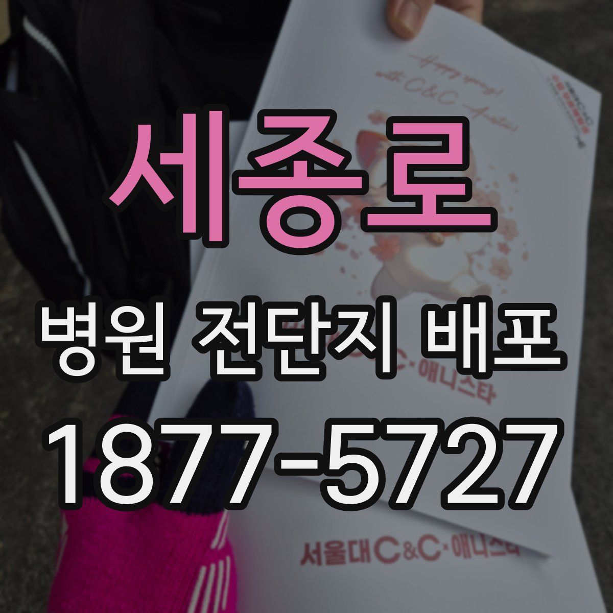 세종로 병원 전단지 배포
