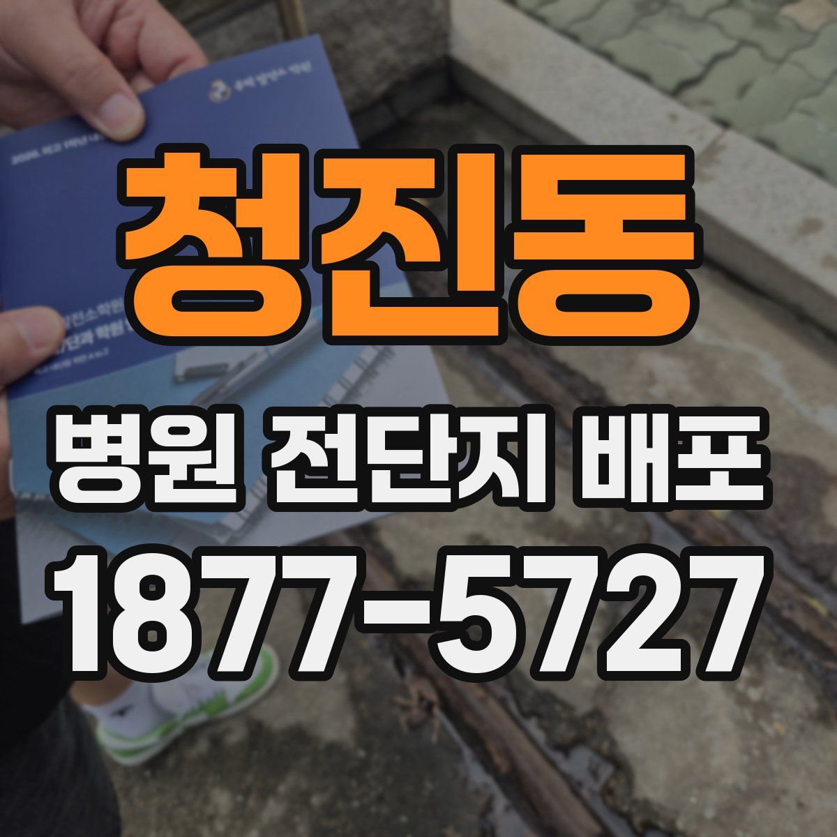 청진동 병원 전단지 배포