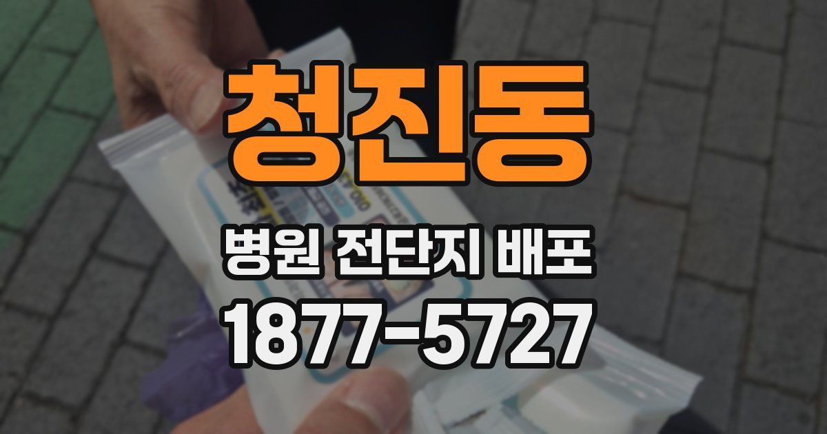 청진동 병원 전단지 배포
