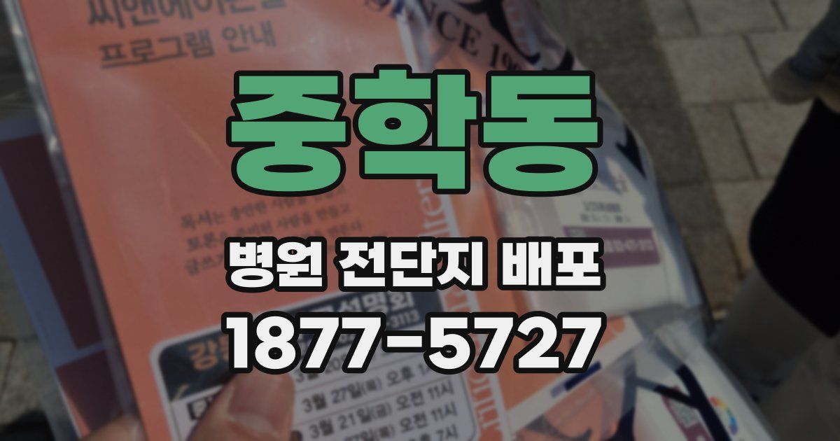 중학동 병원 전단지 배포