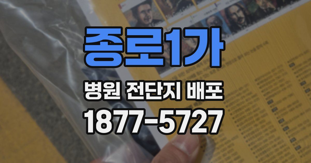 종로1가 병원 전단지 배포