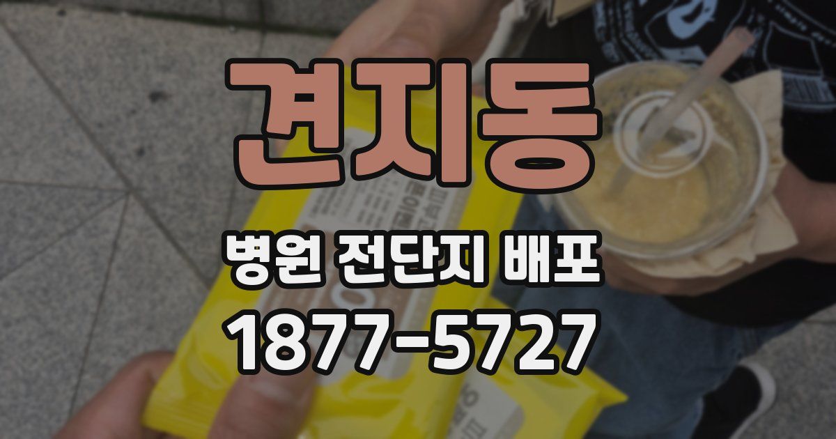 견지동 병원 전단지 배포