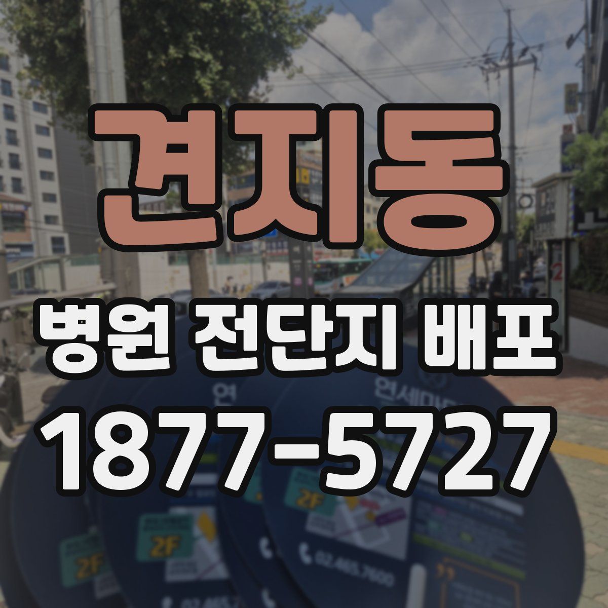 견지동 병원 전단지 배포