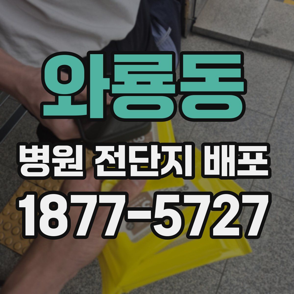 와룡동 병원 전단지 배포