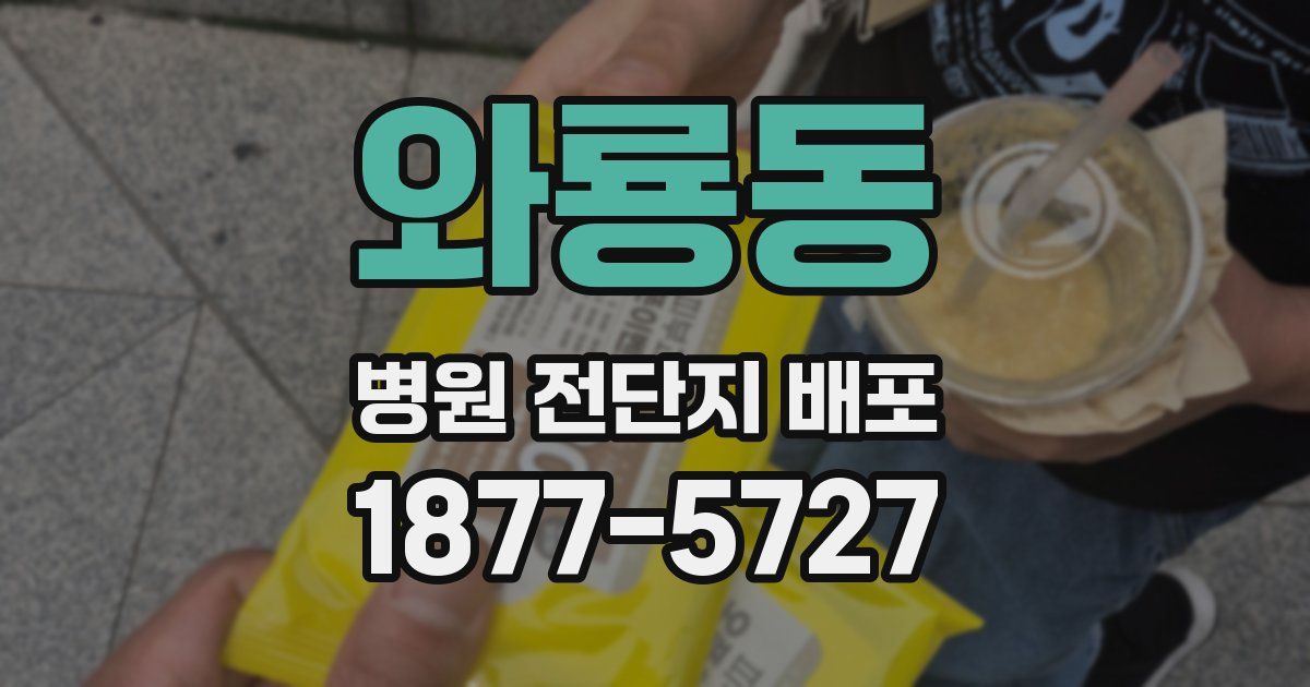 와룡동 병원 전단지 배포