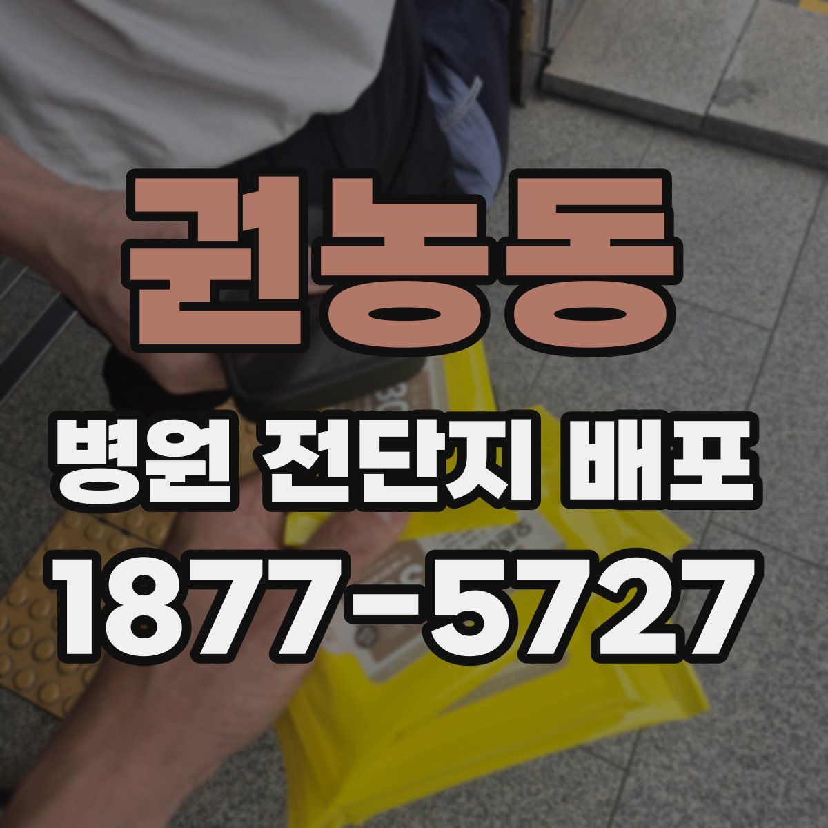 권농동 병원 전단지 배포