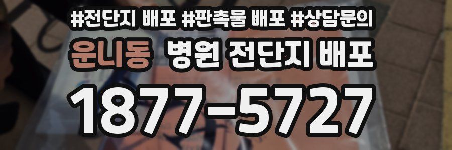운니동 병원 전단지 배포