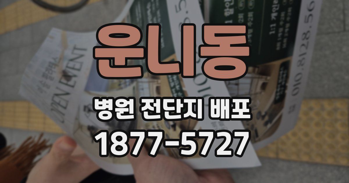 운니동 병원 전단지 배포