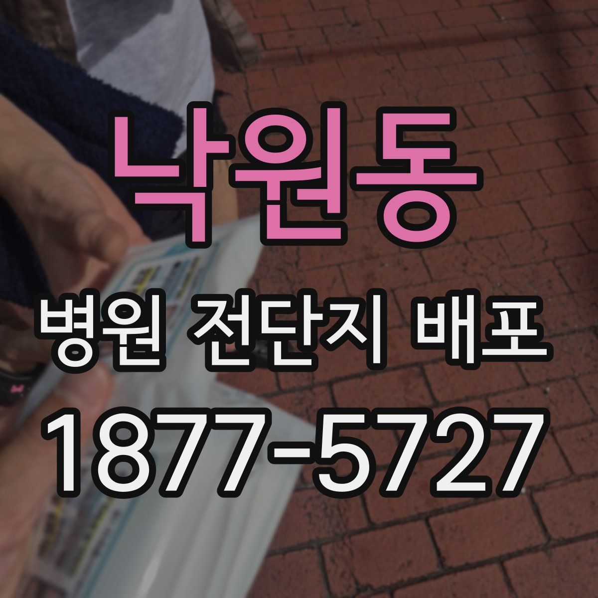 낙원동 병원 전단지 배포