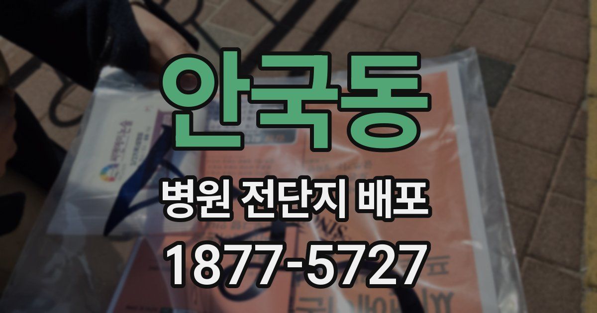 안국동 병원 전단지 배포