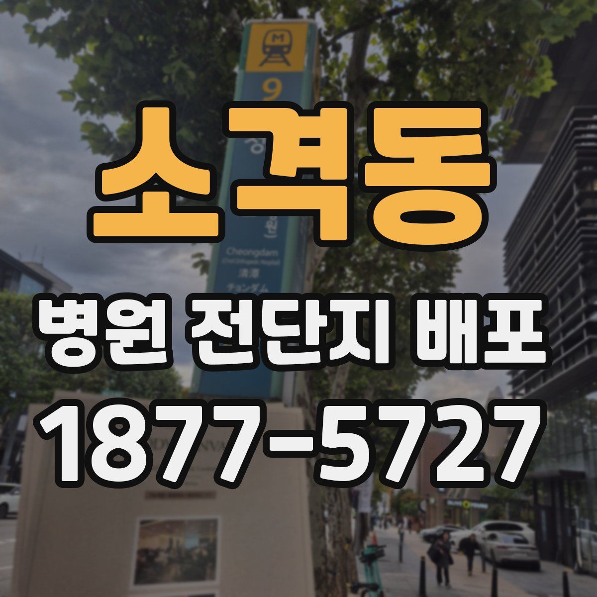 소격동 병원 전단지 배포