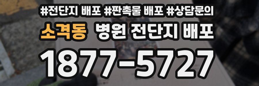 소격동 병원 전단지 배포