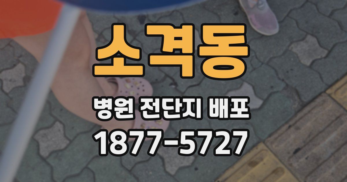 소격동 병원 전단지 배포