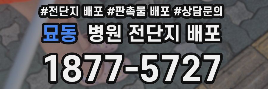 묘동 병원 전단지 배포