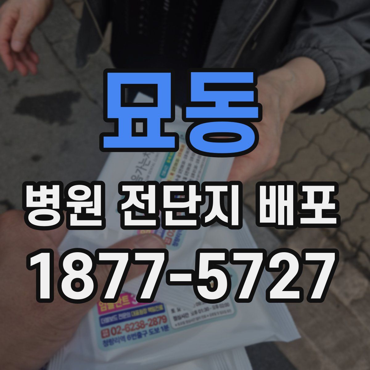 묘동 병원 전단지 배포