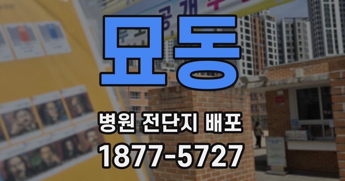 묘동 병원 전단지 배포