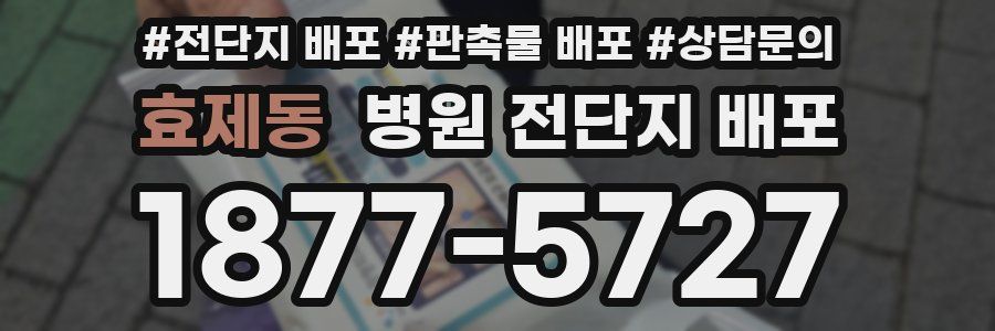 효제동 병원 전단지 배포