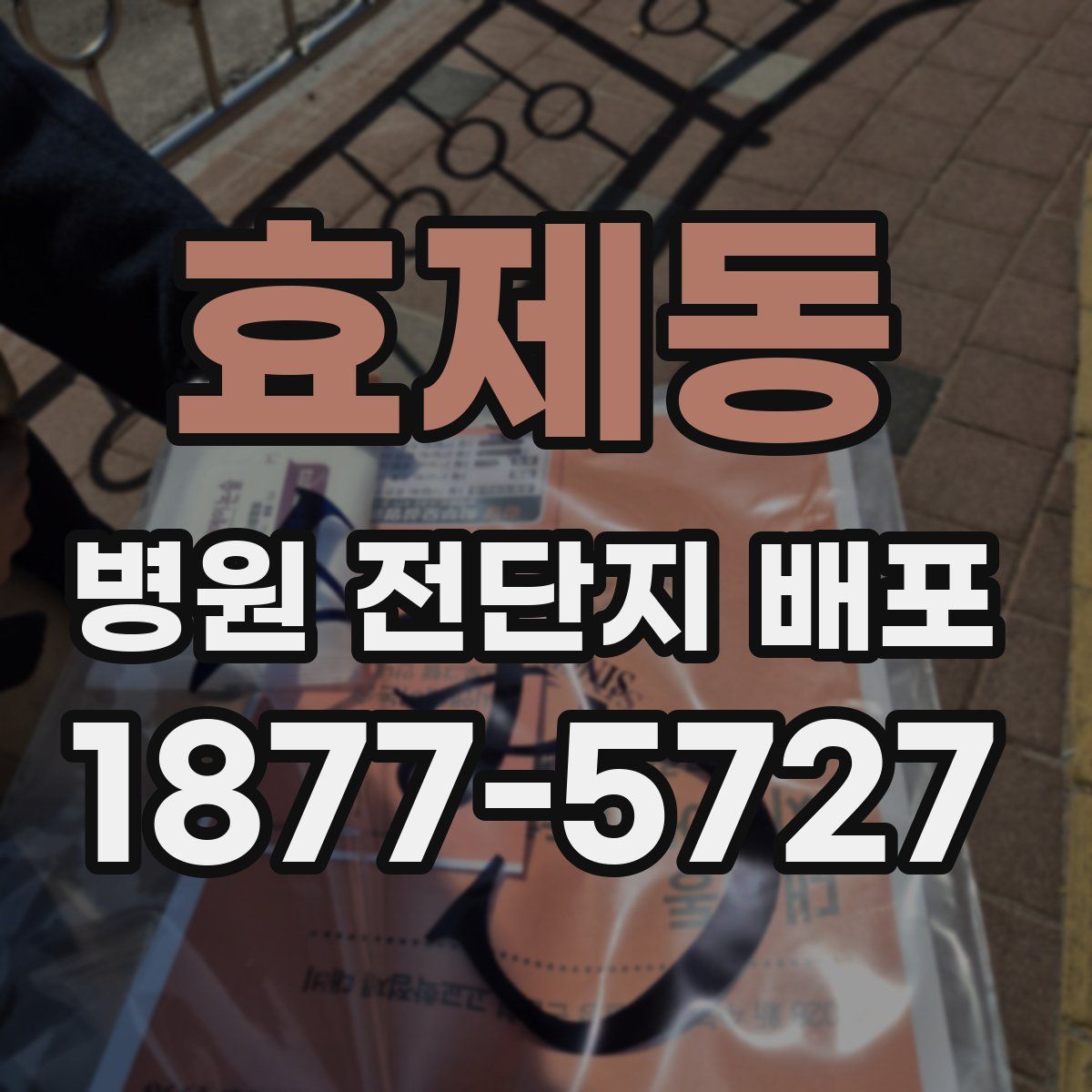 효제동 병원 전단지 배포