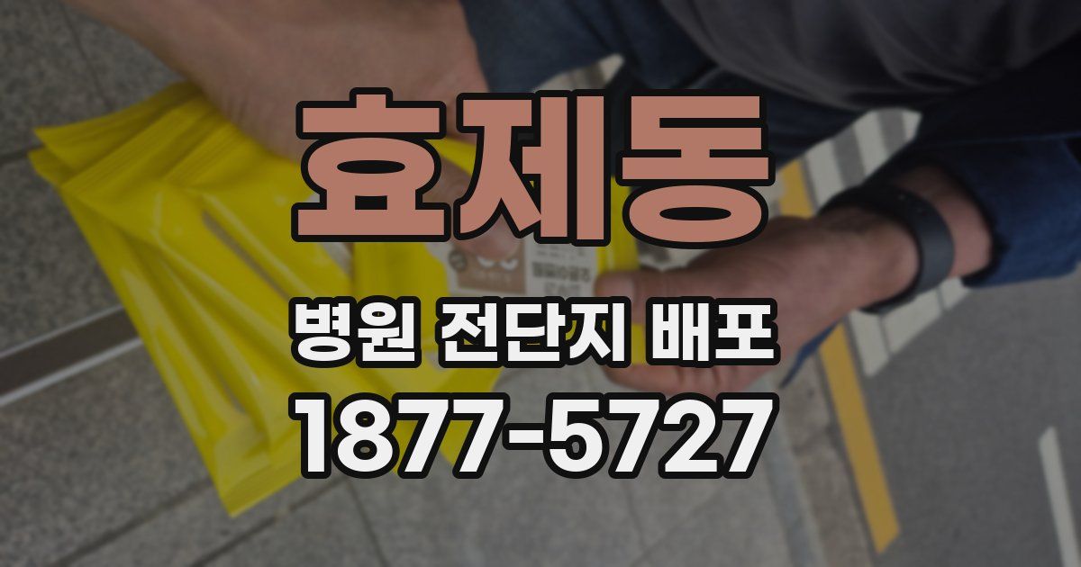 효제동 병원 전단지 배포