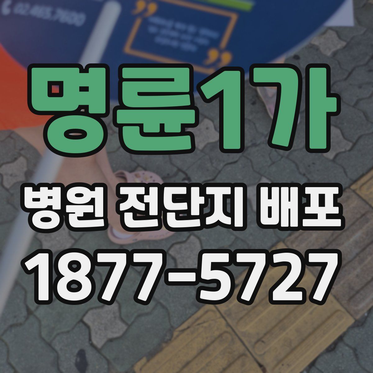명륜1가 병원 전단지 배포