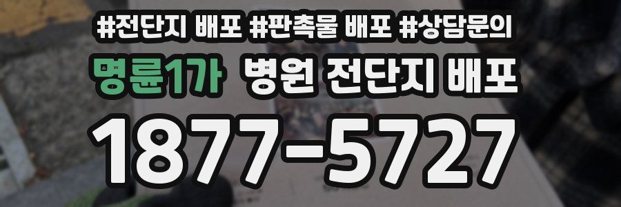 명륜1가 병원 전단지 배포