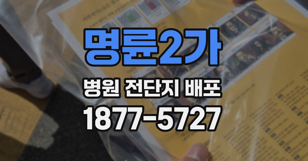 명륜2가 병원 전단지 배포