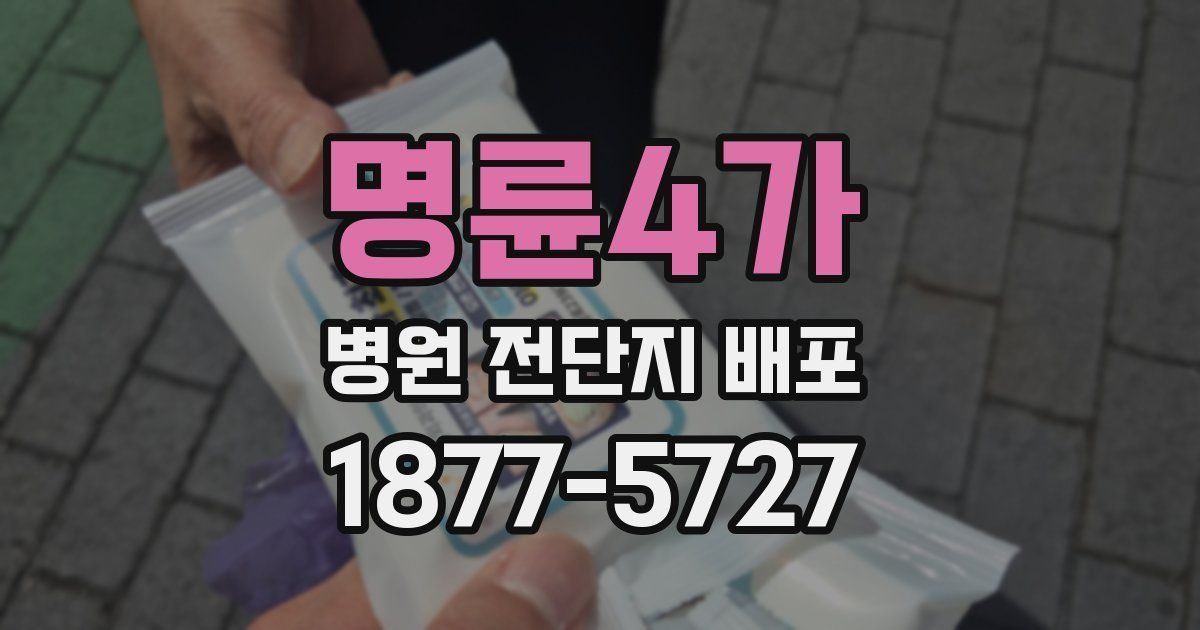 명륜4가 병원 전단지 배포