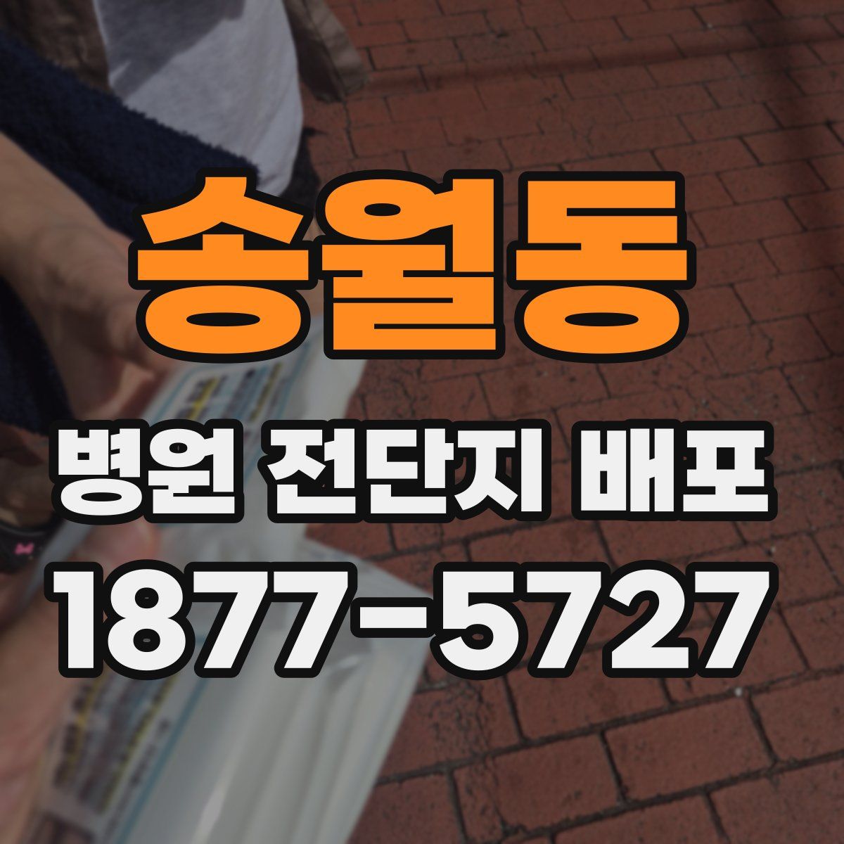 송월동 병원 전단지 배포
