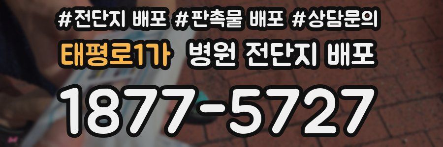 태평로1가 병원 전단지 배포