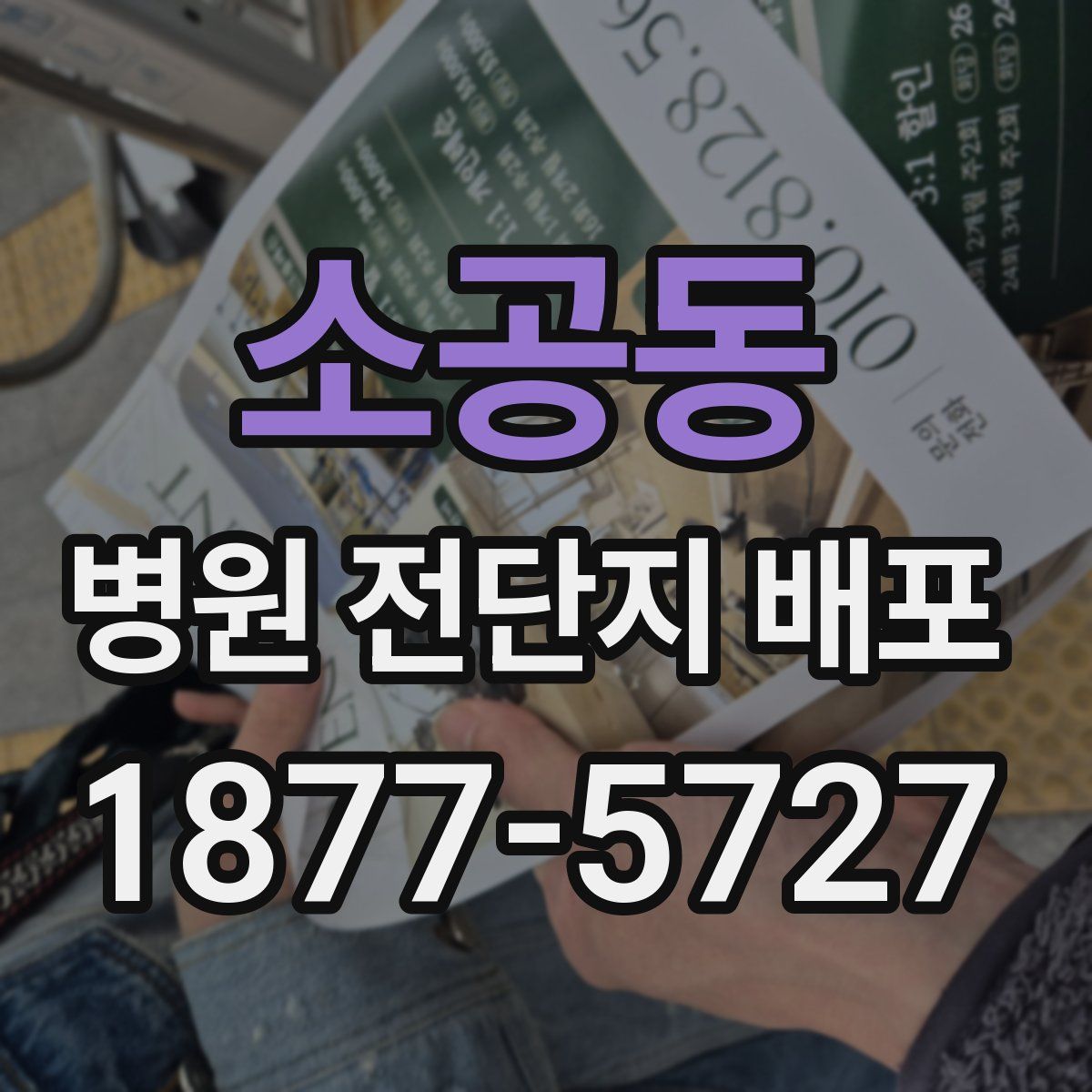 소공동 병원 전단지 배포
