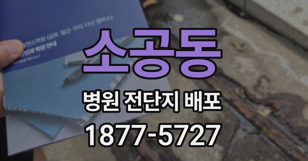 소공동 병원 전단지 배포
