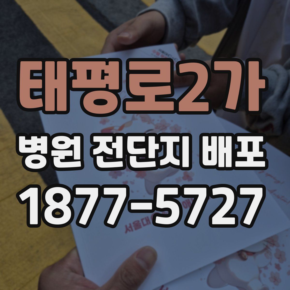 태평로2가 병원 전단지 배포