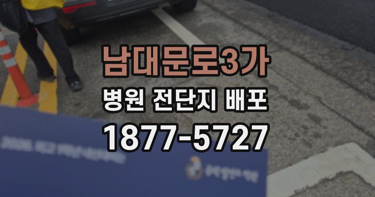 남대문로3가 병원 전단지 배포