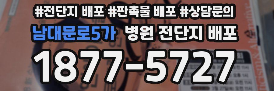 남대문로5가 병원 전단지 배포