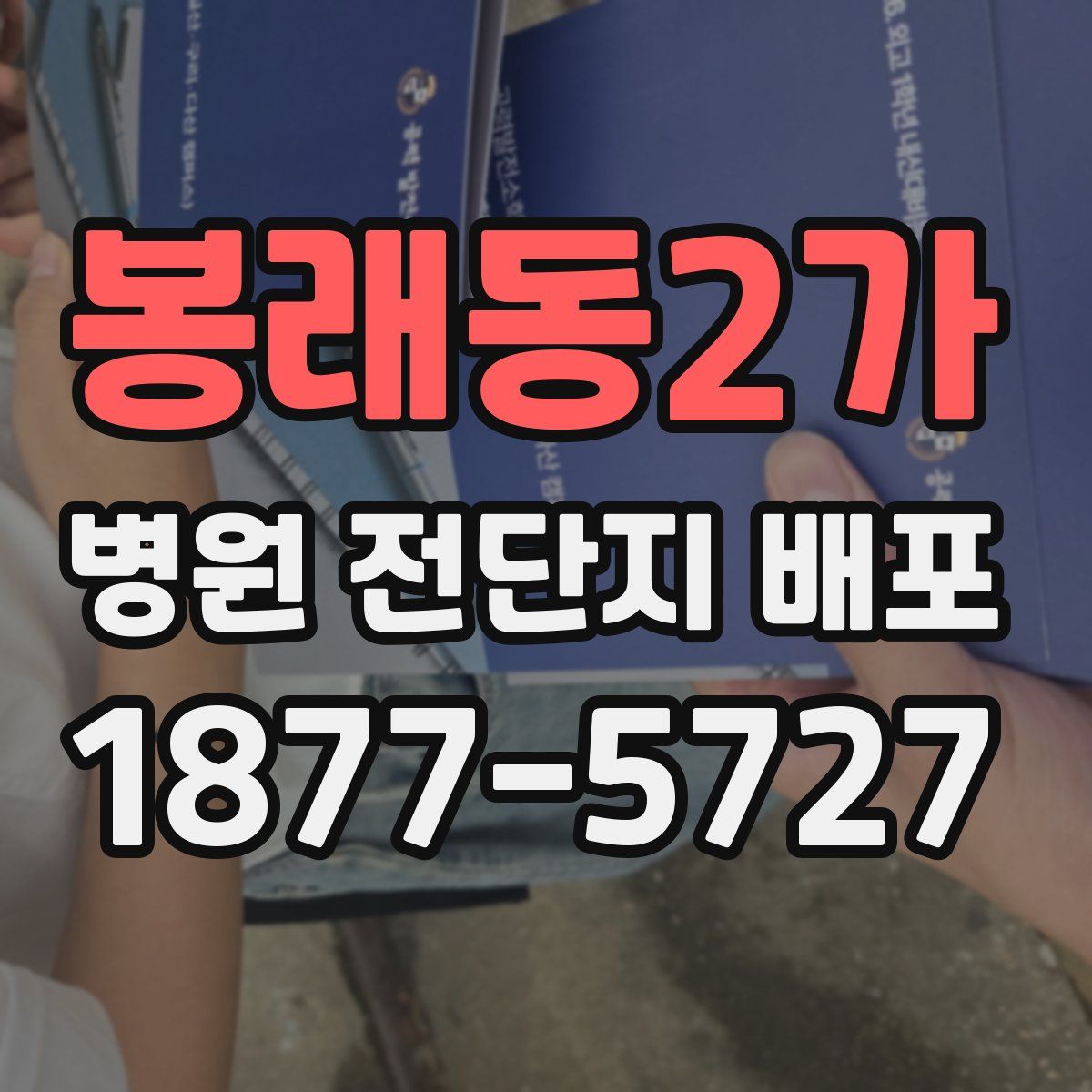 봉래동2가 병원 전단지 배포