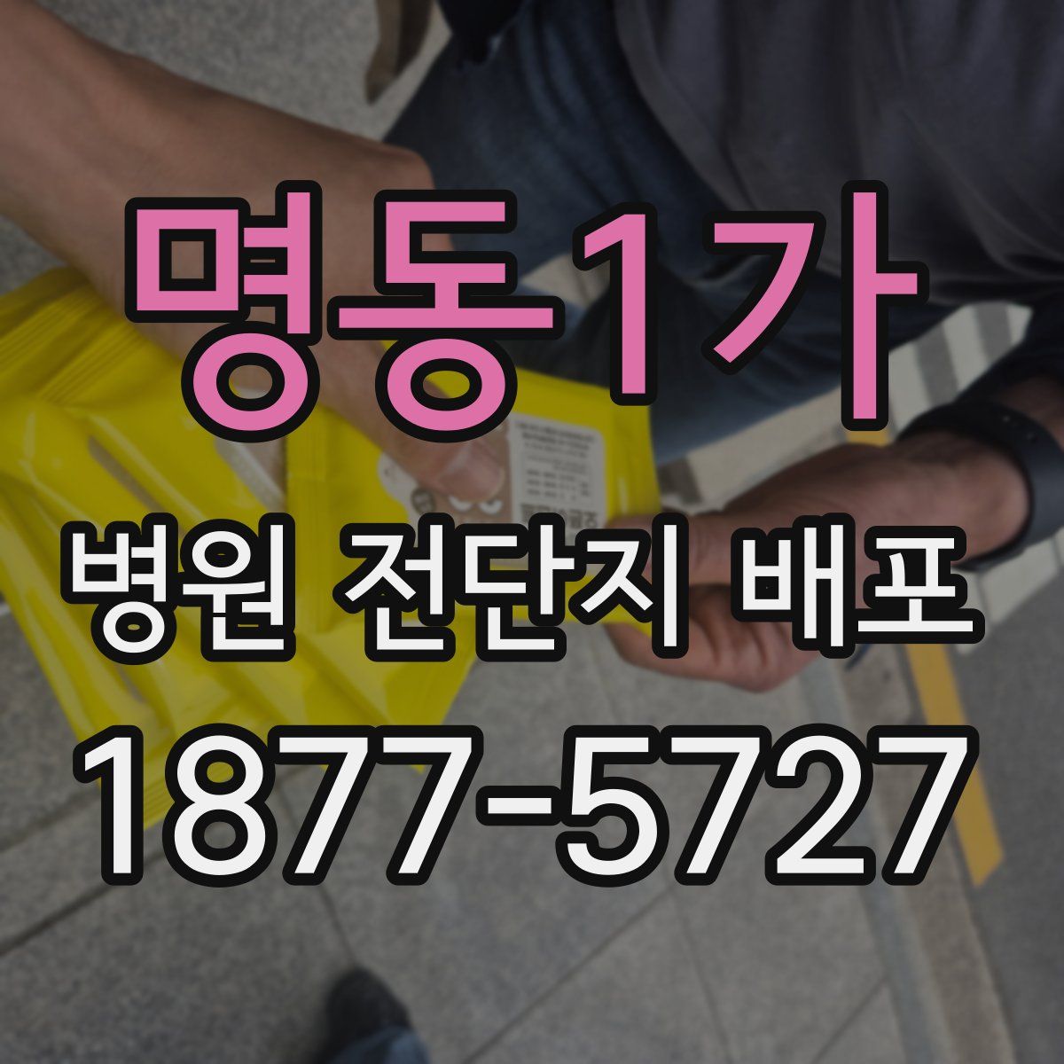 명동1가 병원 전단지 배포