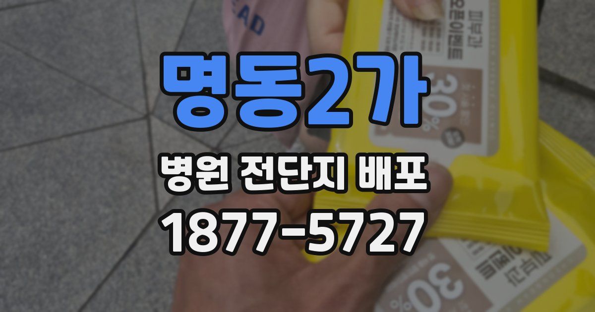 명동2가 병원 전단지 배포