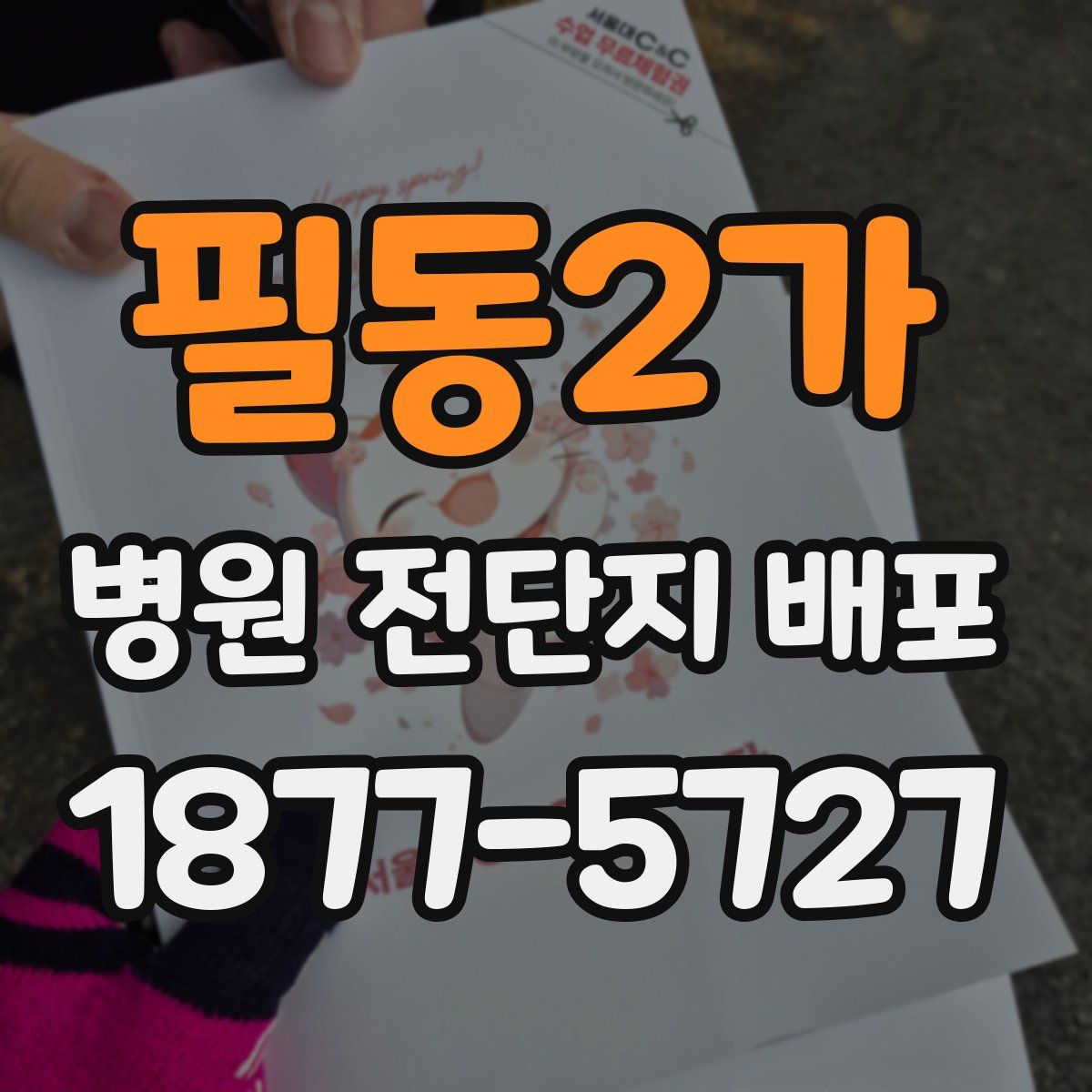 필동2가 병원 전단지 배포