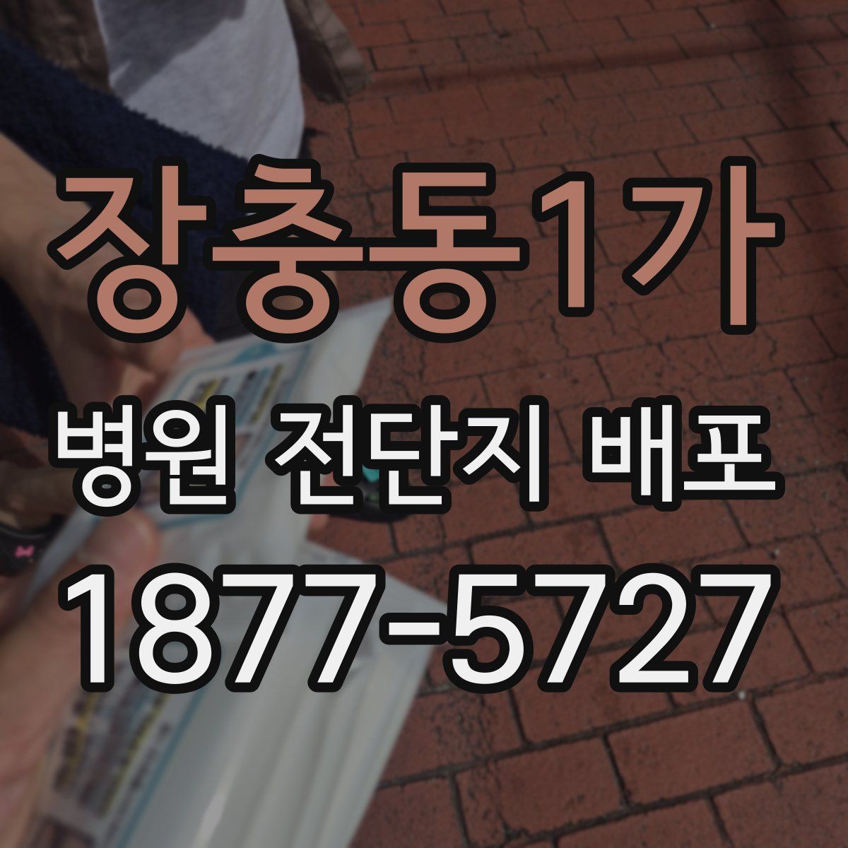 장충동1가 병원 전단지 배포