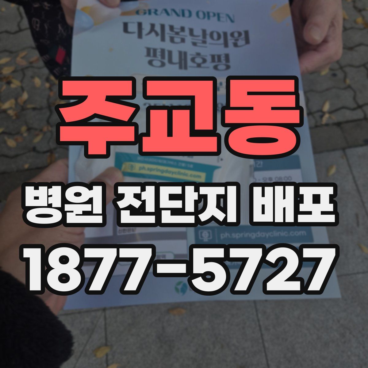 주교동 병원 전단지 배포