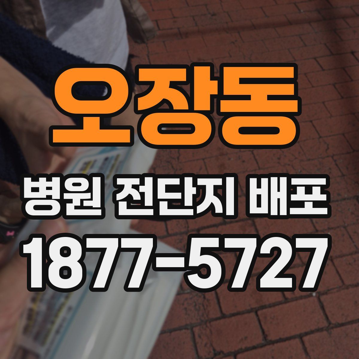 오장동 병원 전단지 배포