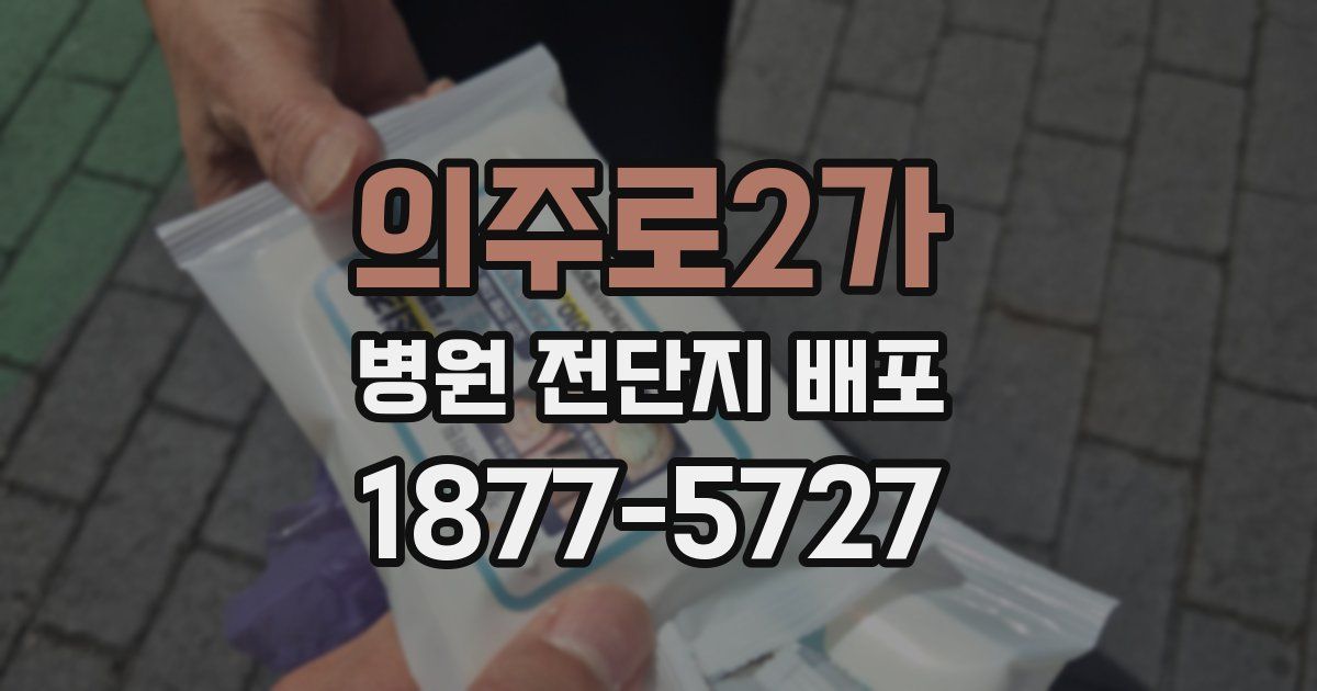 의주로2가 병원 전단지 배포