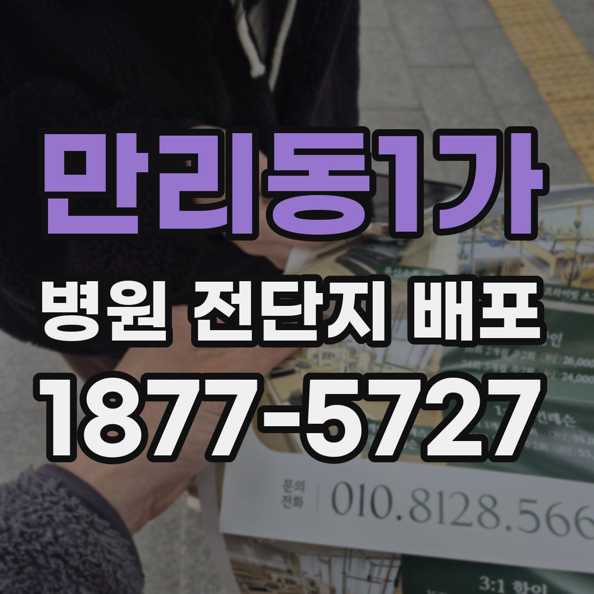 만리동1가 병원 전단지 배포