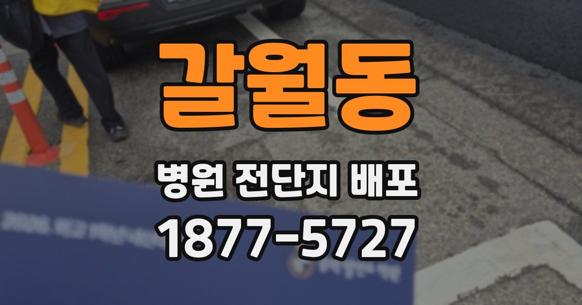 갈월동 병원 전단지 배포