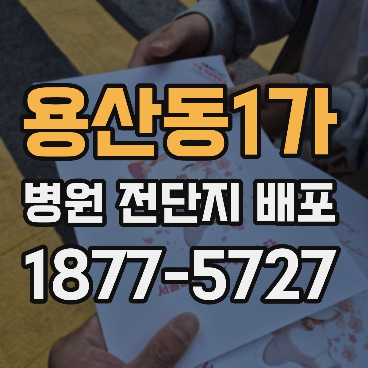 용산동1가 병원 전단지 배포