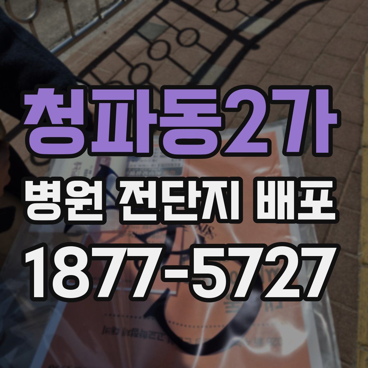 청파동2가 병원 전단지 배포