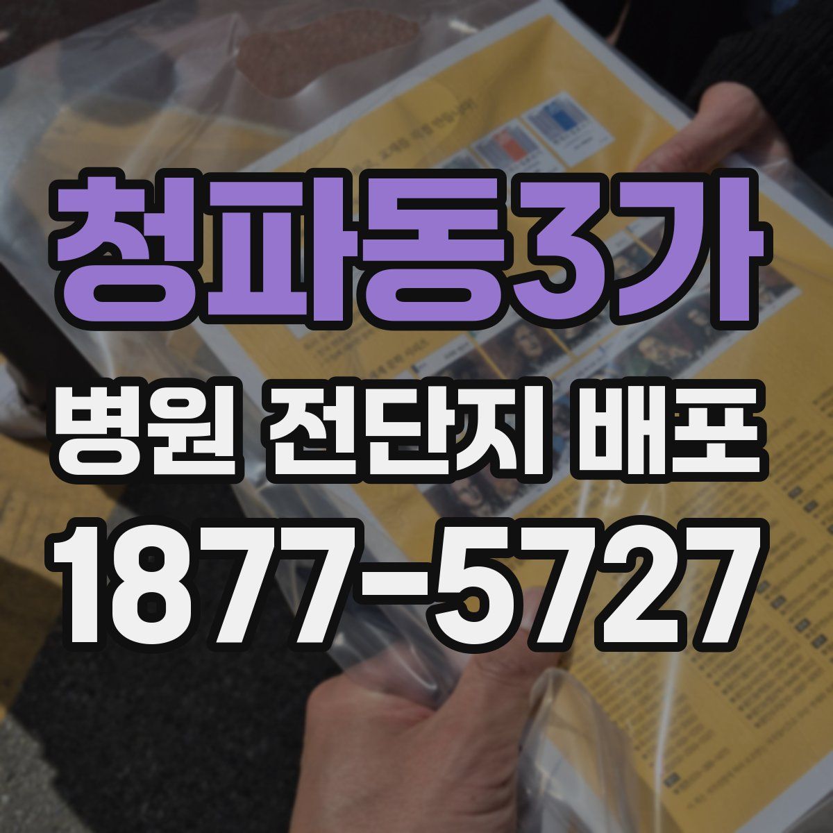 청파동3가 병원 전단지 배포