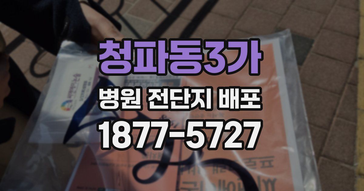 청파동3가 병원 전단지 배포