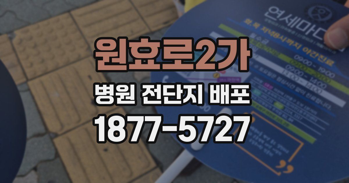 원효로2가 병원 전단지 배포