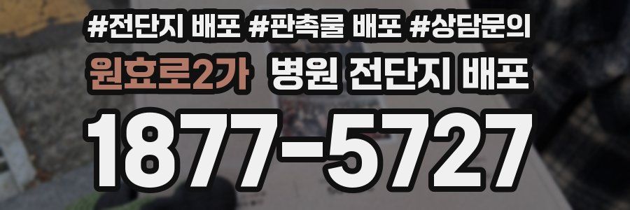 원효로2가 병원 전단지 배포